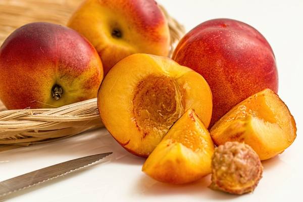 میوه ضد سرطان